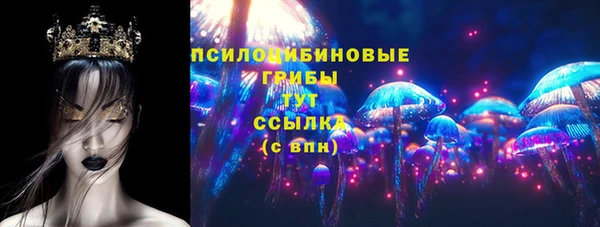 PSILOCYBIN Баксан